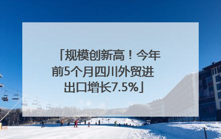 规模创新高！今年前5个月四川外贸进出口增长7.5%